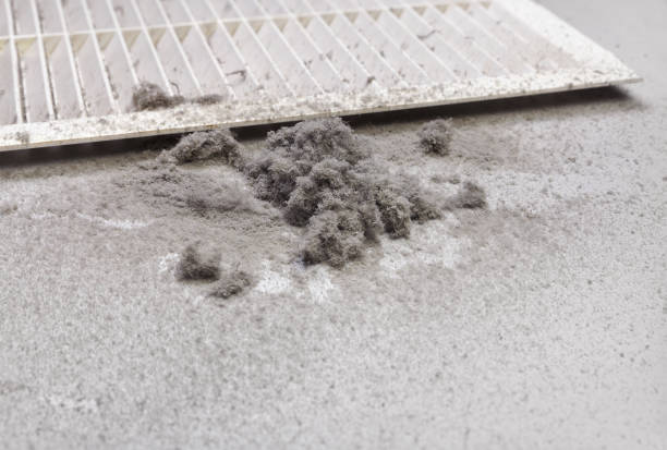 Best HVAC Maintenance and Cleaning  in Emporia, VA